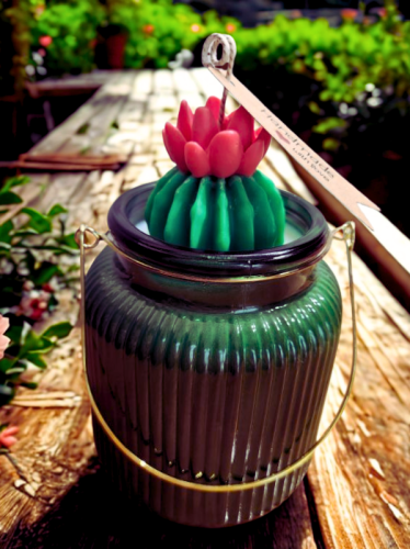 Green gift.png