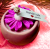 daisy 5.png