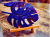 MN 3.png