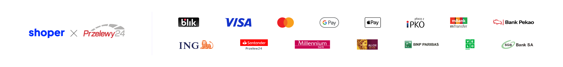 Banner płatności
